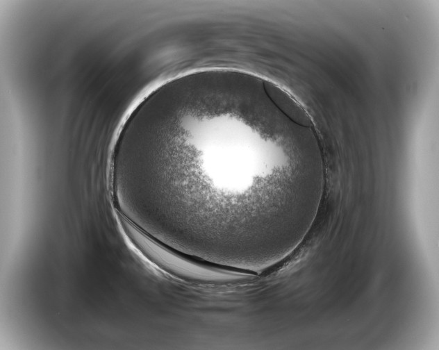 X0000087051527200704181226