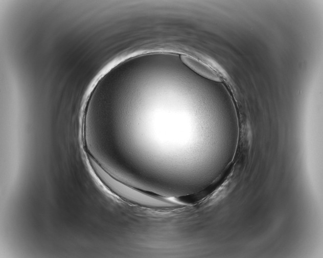 X0000087051528200704181226