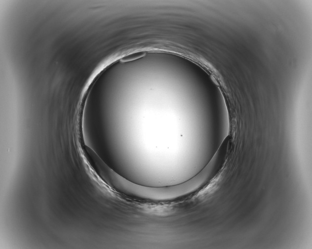 X0000087051530200704181226