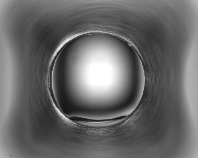 X0000087051531200704181226