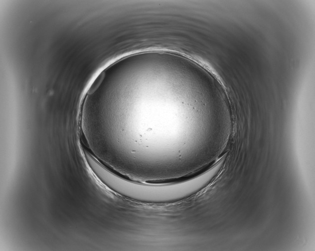X0000087051532200704181226