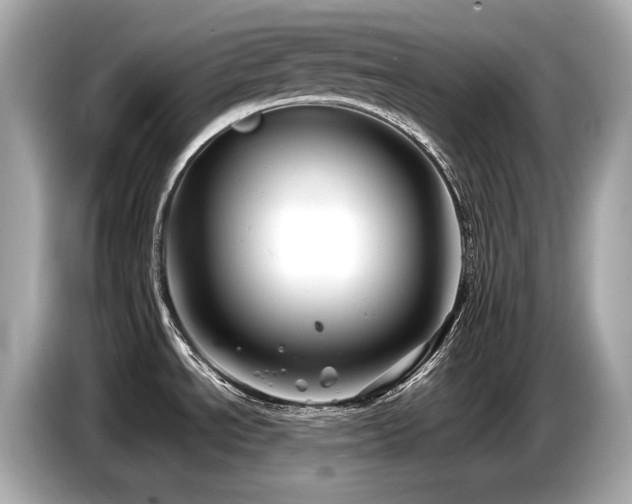 X0000087051534200704181226