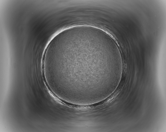X0000087051535200704181226