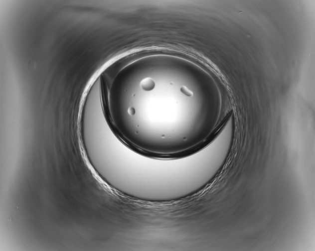X0000087051536200704181226