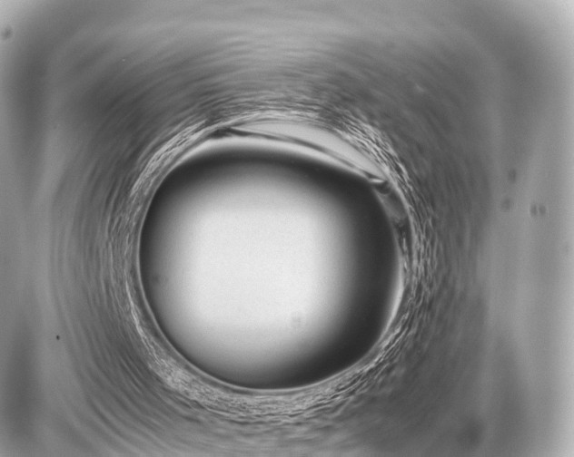 X0000087050001200704251016