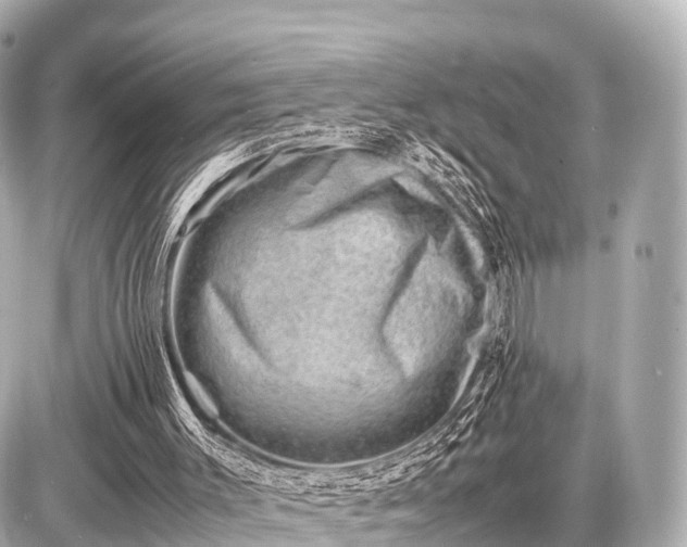 X0000087050003200704251016