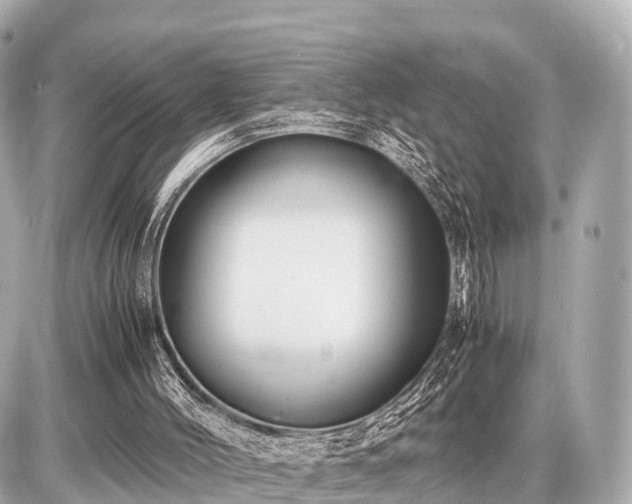 X0000087050004200704251016