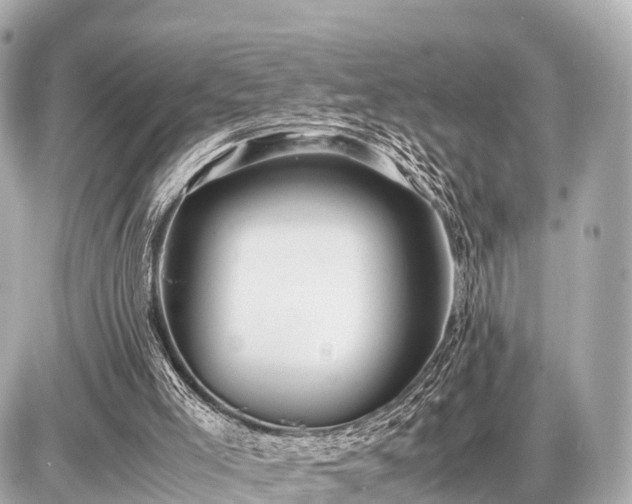 X0000087050005200704251016