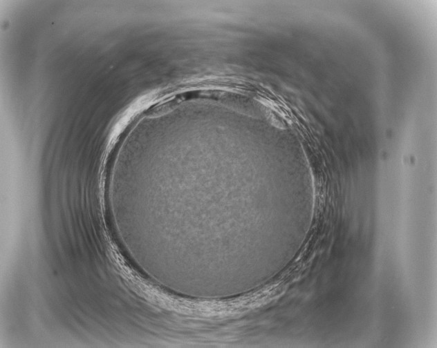 X0000087050006200704251016