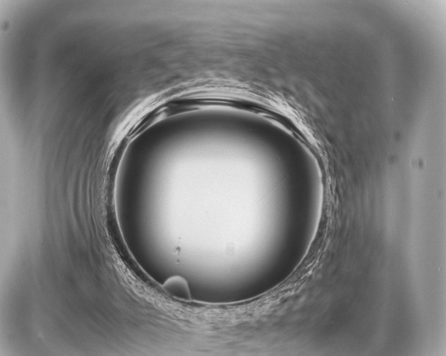 X0000087050007200704251016