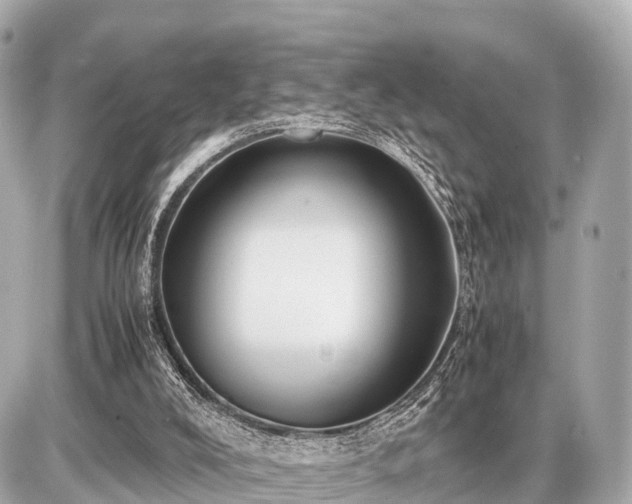 X0000087050008200704251015