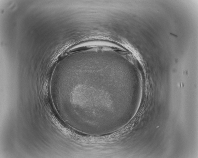 X0000087050009200704251015