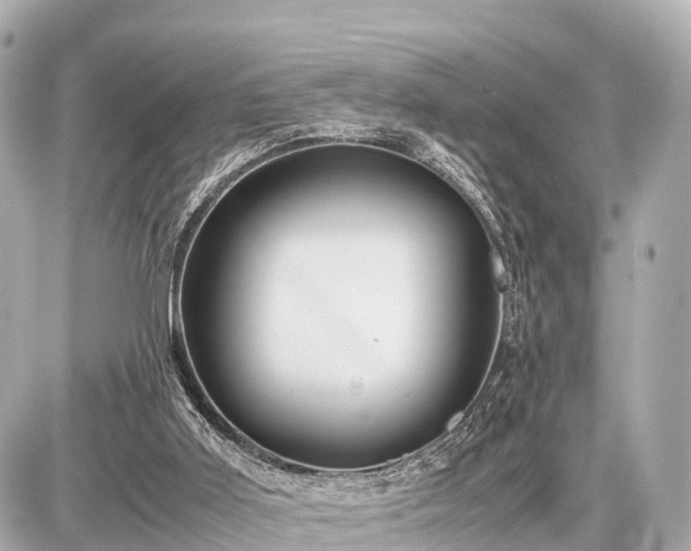 X0000087050011200704251015