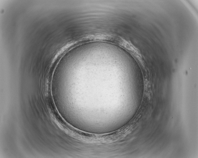 X0000087050012200704251015