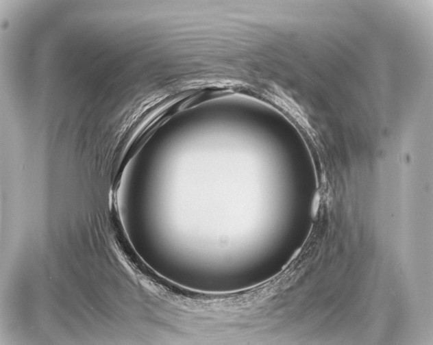 X0000087050013200704251015