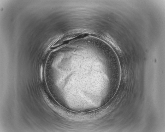 X0000087050014200704251015