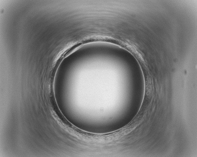 X0000087050015200704251015