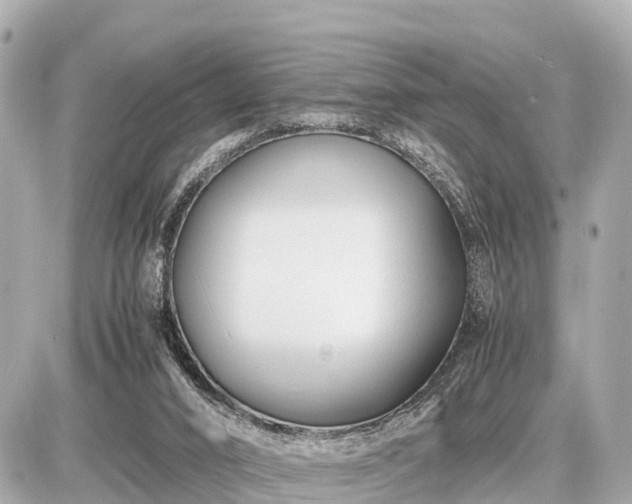 X0000087050016200704251015