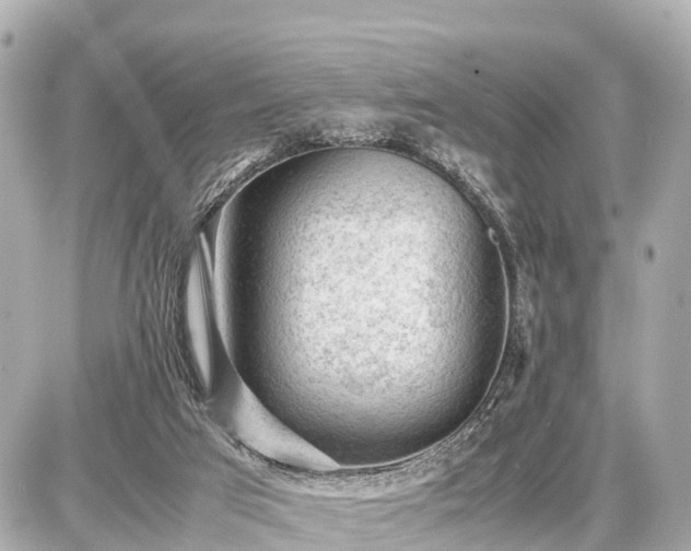 X0000087050017200704251015