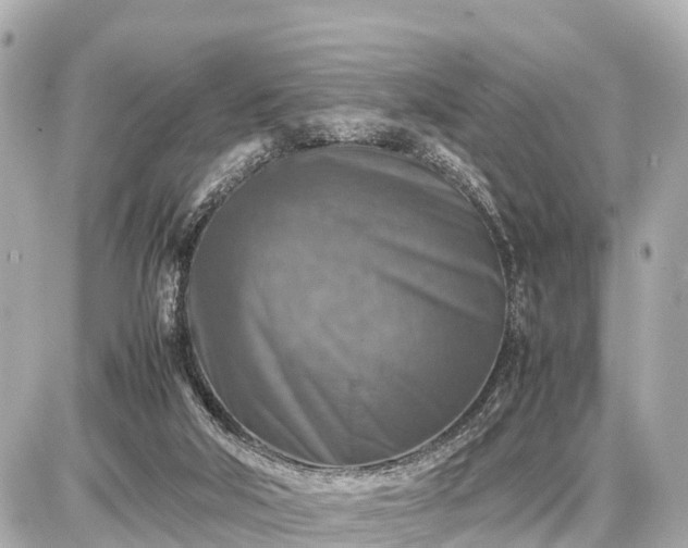 X0000087050018200704251015