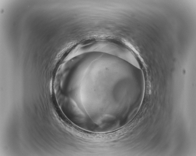 X0000087050019200704251015