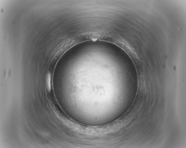 X0000087050022200704251015