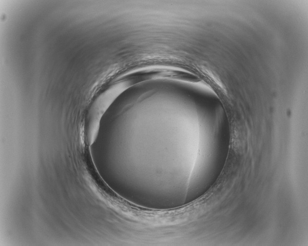 X0000087050023200704251015