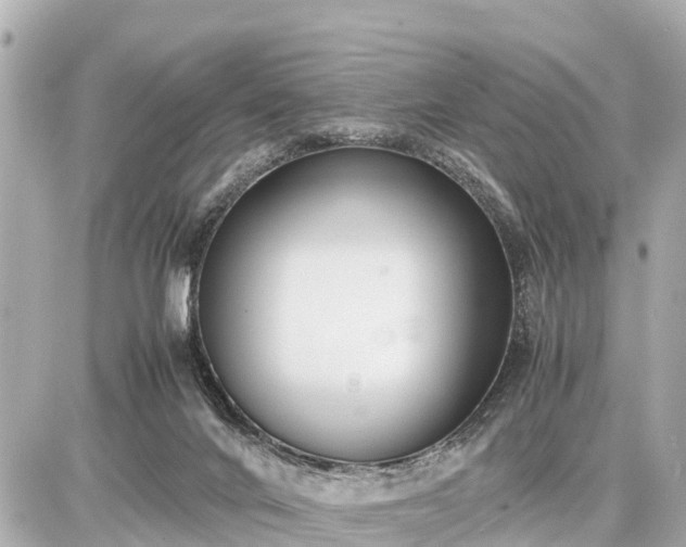 X0000087050024200704251015