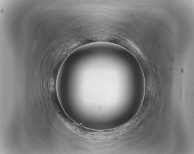 X0000087050025200704251015