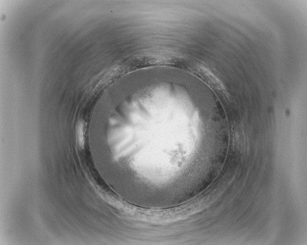 X0000087050026200704251015