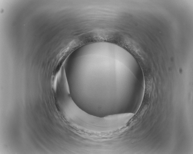 X0000087050027200704251015