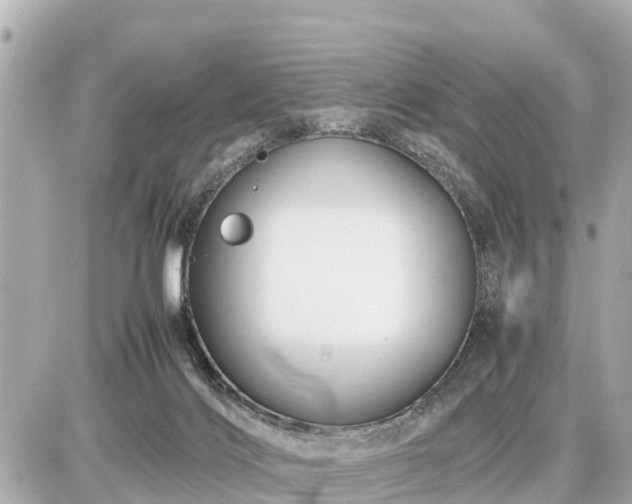 X0000087050028200704251015