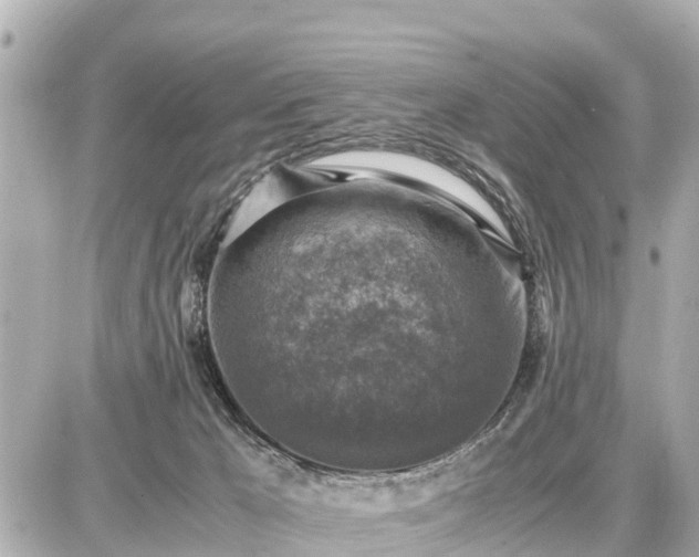 X0000087050029200704251015