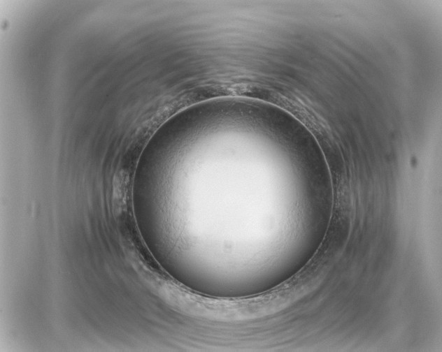 X0000087050030200704251015