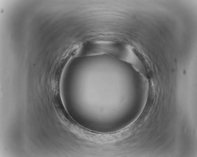 X0000087050031200704251015