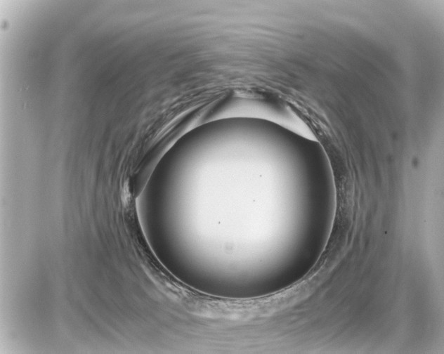 X0000087050033200704251015