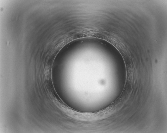 X0000087050034200704251015