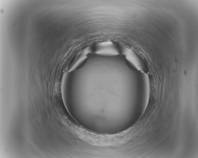 X0000087050035200704251015