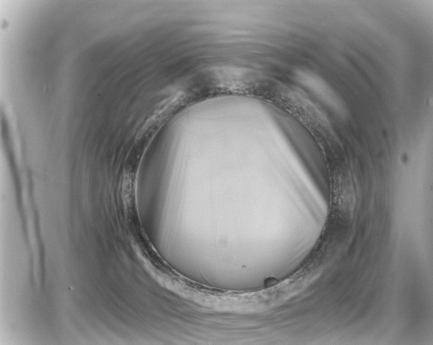 X0000087050036200704251015