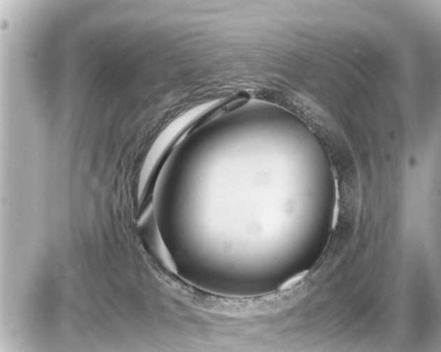 X0000087050037200704251015