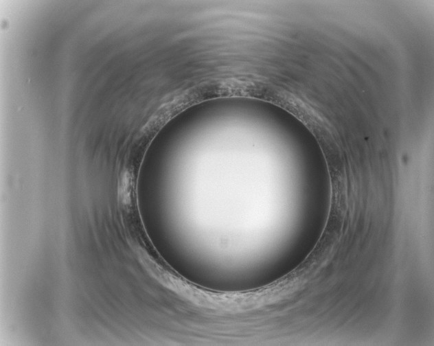 X0000087050038200704251015