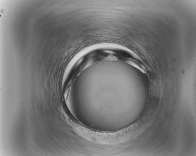 X0000087050039200704251015