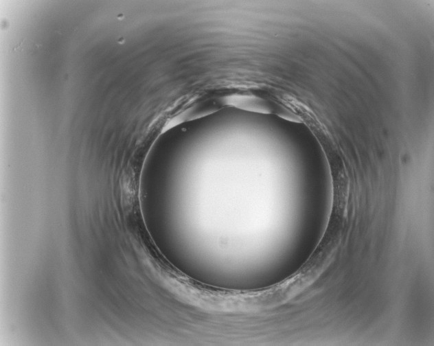 X0000087050040200704251015