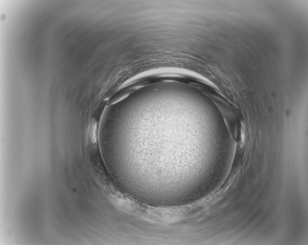 X0000087050041200704251015