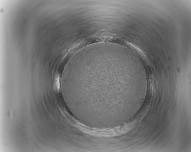 X0000087050042200704251015