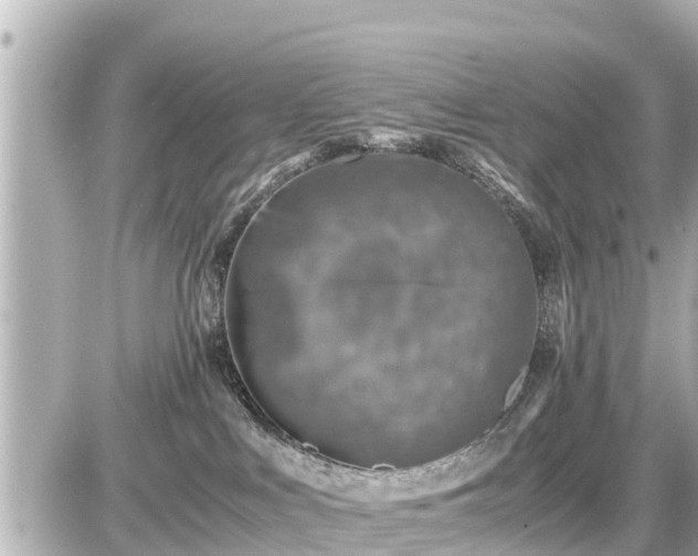 X0000087050043200704251015