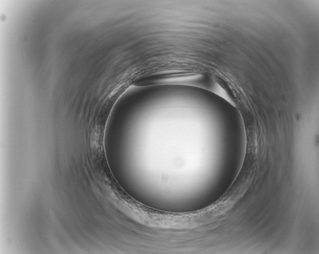 X0000087050044200704251015