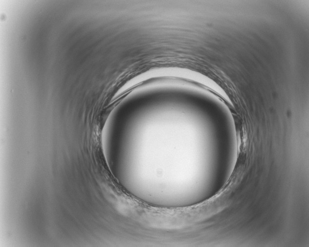 X0000087050045200704251015