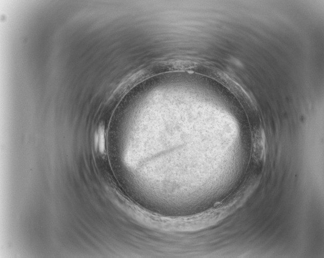 X0000087050046200704251015