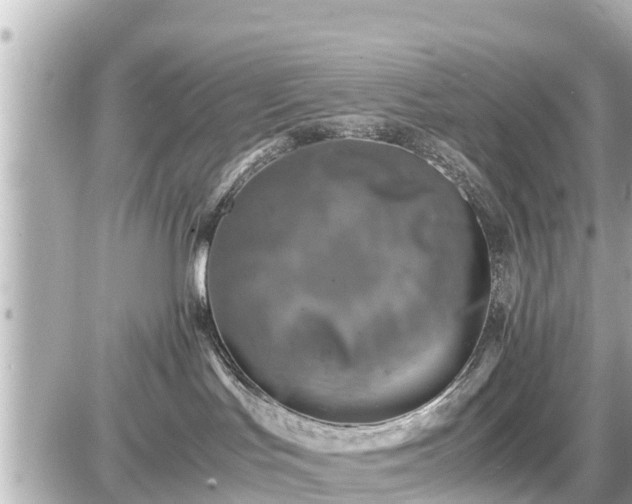 X0000087050047200704251015